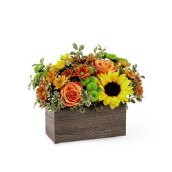 The FTD Happy Harvest Garden from Victor Mathis Florist in Louisville, KY